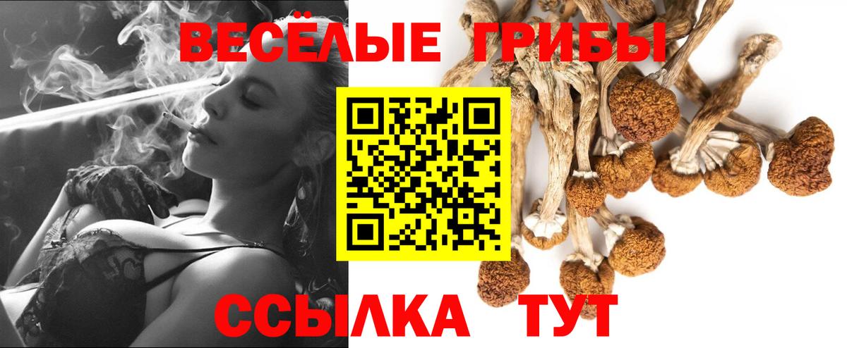 Псилоцибиновые грибы MAGIC MUSHROOMS Кимры